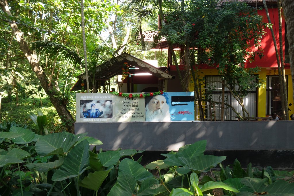 dsc01381.jpg