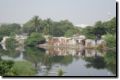 dsc00335.jpg