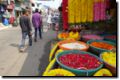 dsc01008.jpg