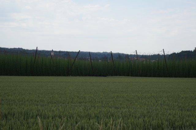 _sc05262.jpg