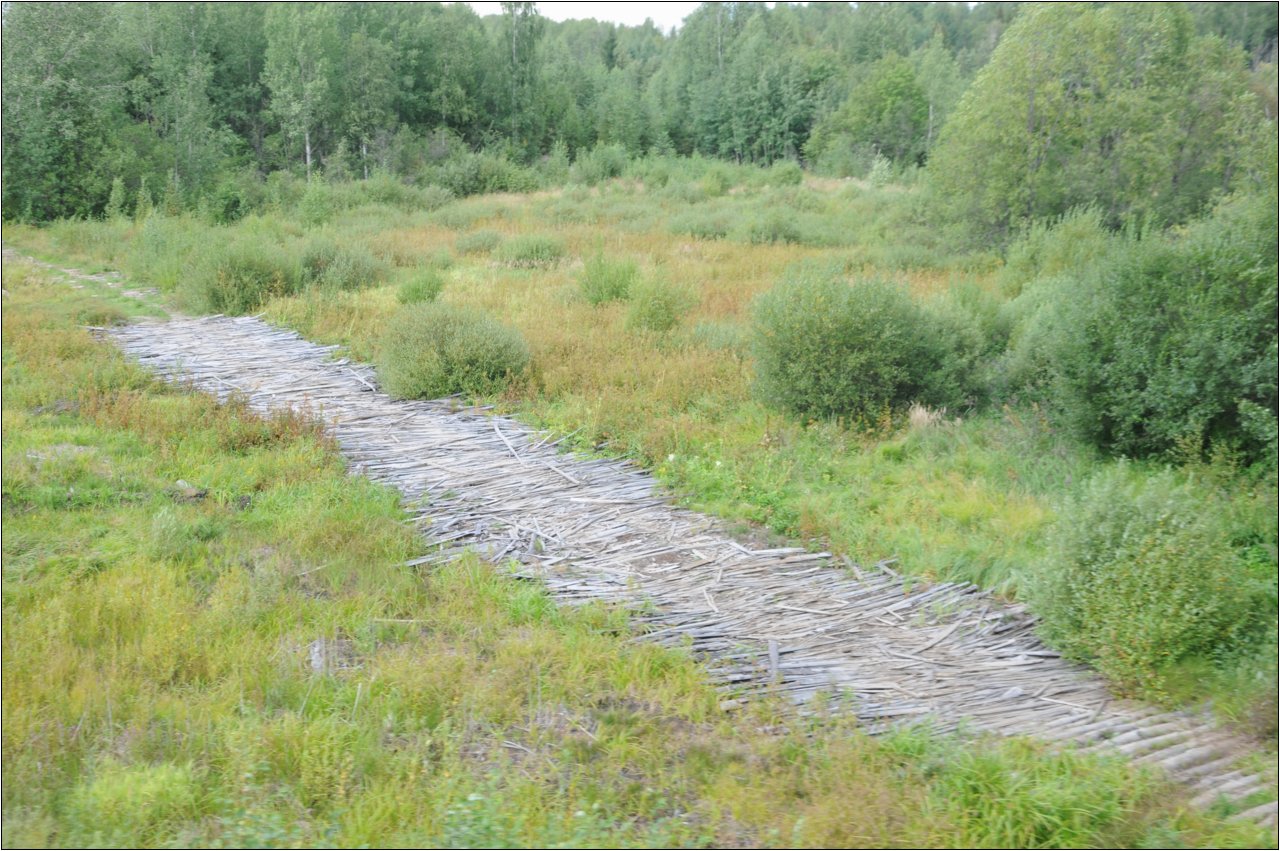 dsc_1006.jpg