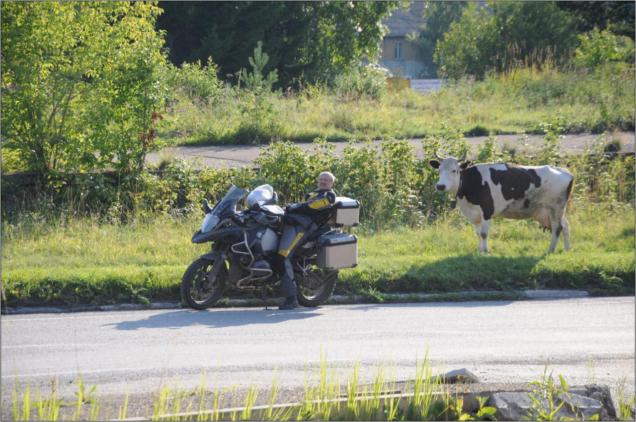 dsc_9588b.jpg