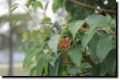 dsc_0664.jpg