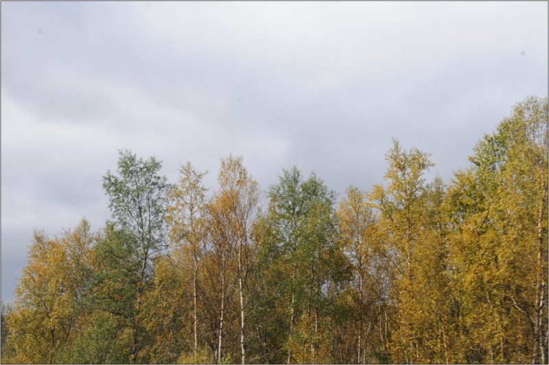 dsc1__064_.jpg