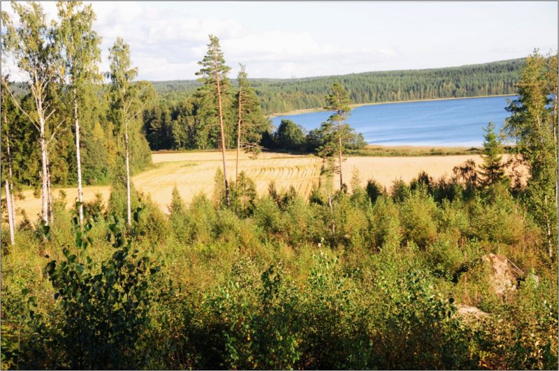 dsc1__130_.jpg